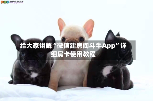 给大家讲解“微信建房间斗牛App”详细房卡使用教程