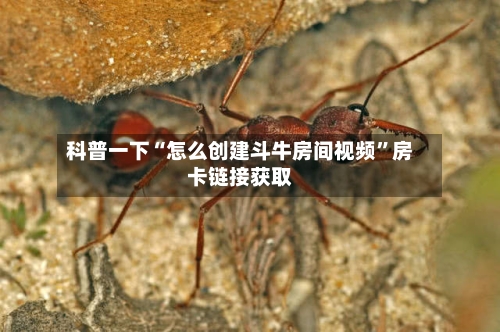 科普一下“怎么创建斗牛房间视频	”房卡链接获取-第2张图片