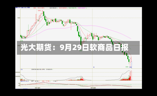 光大期货：9月29日软商品日报-第1张图片