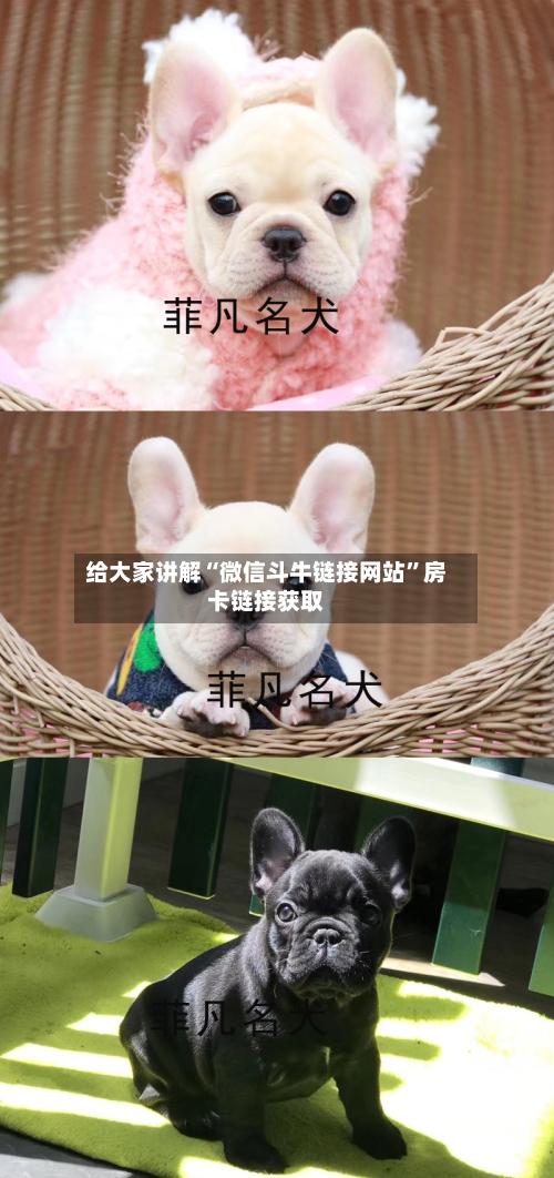 给大家讲解“微信斗牛链接网站”房卡链接获取-第2张图片