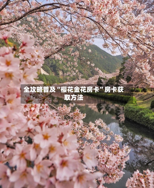 全攻略普及“樱花金花房卡”房卡获取方法-第3张图片
