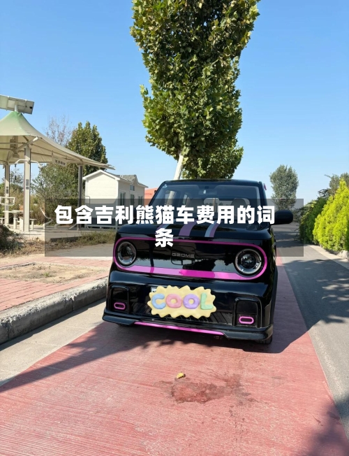 包含吉利熊猫车费用的词条