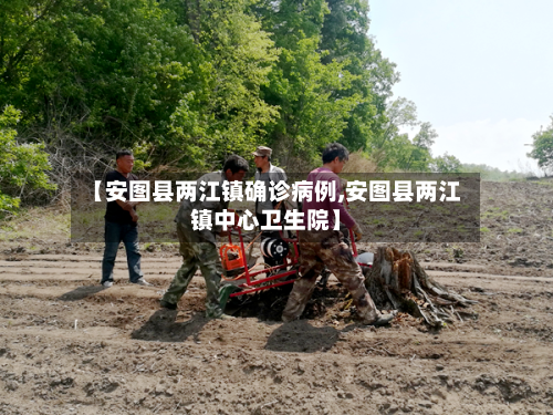 【安图县两江镇确诊病例,安图县两江镇中心卫生院】