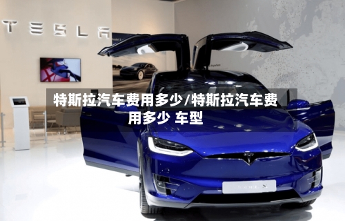 特斯拉汽车费用多少/特斯拉汽车费用多少 车型