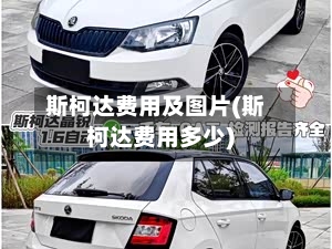 斯柯达费用及图片(斯柯达费用多少)