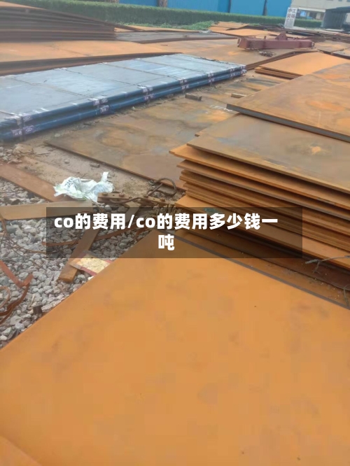 co的费用/co的费用多少钱一吨-第2张图片
