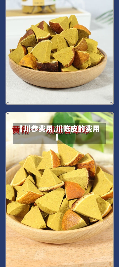 【川参费用,川陈皮的费用】