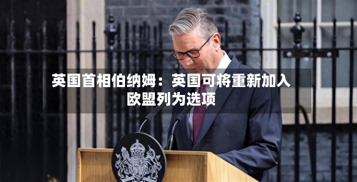 英国首相伯纳姆:英国可将重新加入欧盟列为选项