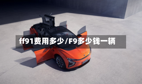 ff91费用多少/F9多少钱一辆-第2张图片