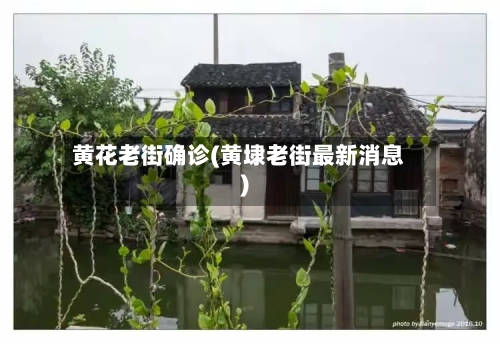 黄花老街确诊(黄埭老街最新消息)-第2张图片