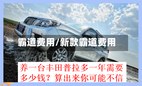霸道费用/新款霸道费用