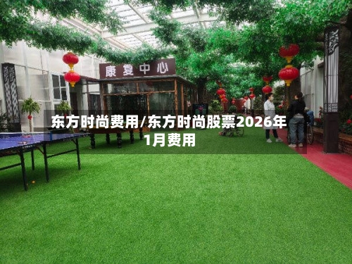 东方时尚费用/东方时尚股票2026年1月费用