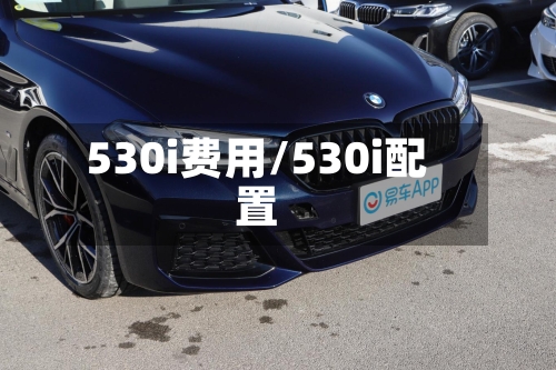 530i费用/530i配置