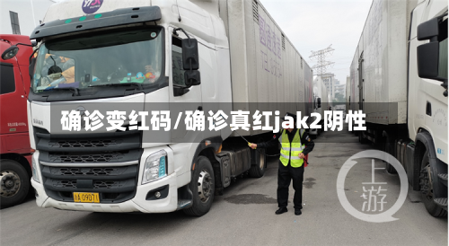 确诊变红码/确诊真红jak2阴性-第2张图片