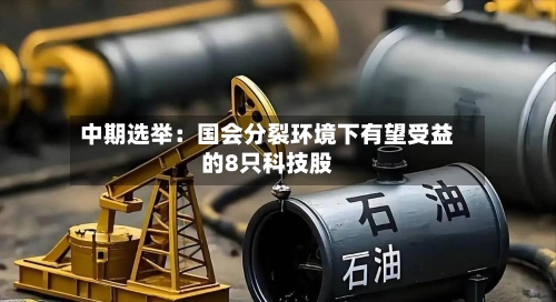 中期选举:国会分裂环境下有望受益的8只科技股-第2张图片