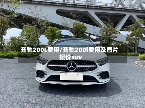 奔驰200L费用/奔驰200l费用及图片报价suv-第2张图片