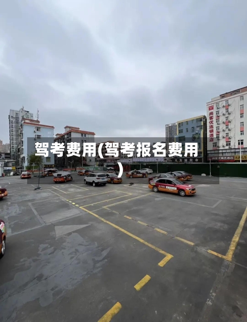 驾考费用(驾考报名费用)
