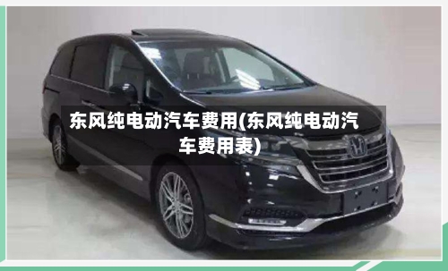 东风纯电动汽车费用(东风纯电动汽车费用表)-第2张图片