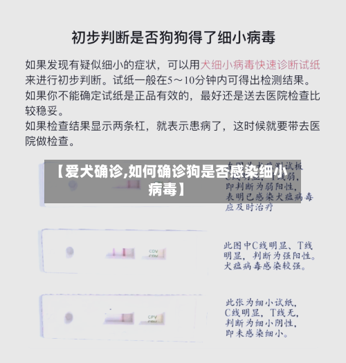 【爱犬确诊,如何确诊狗是否感染细小病毒】-第2张图片