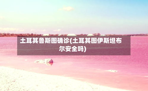 土耳其鲁斯图确诊(土耳其图伊斯坦布尔安全吗)-第3张图片