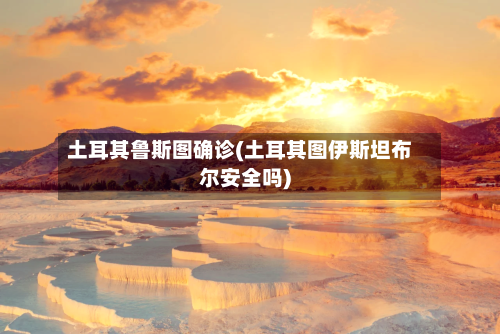 土耳其鲁斯图确诊(土耳其图伊斯坦布尔安全吗)-第2张图片