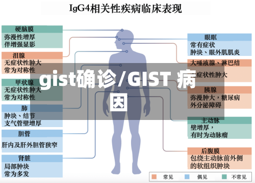 gist确诊/GIST 病因-第2张图片