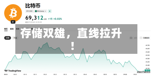 存储双雄，直线拉升！-第3张图片