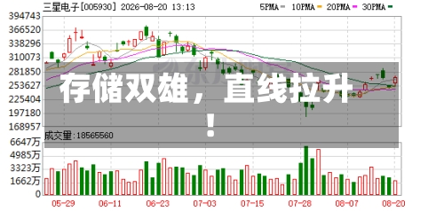 存储双雄,直线拉升!
