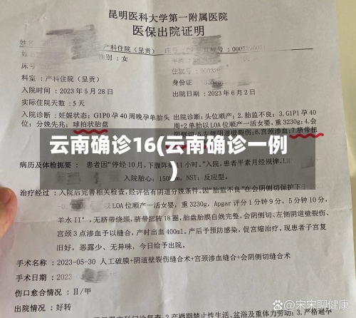 云南确诊16(云南确诊一例)-第3张图片