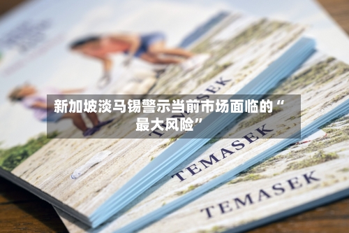 新加坡淡马锡警示当前市场面临的“最大风险”