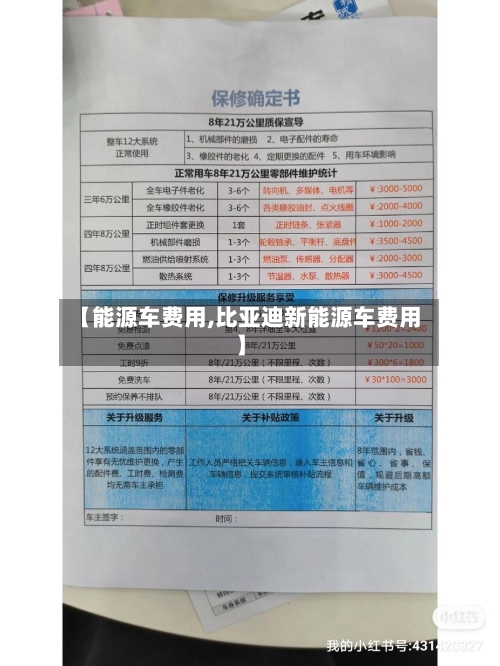 【能源车费用,比亚迪新能源车费用】-第2张图片
