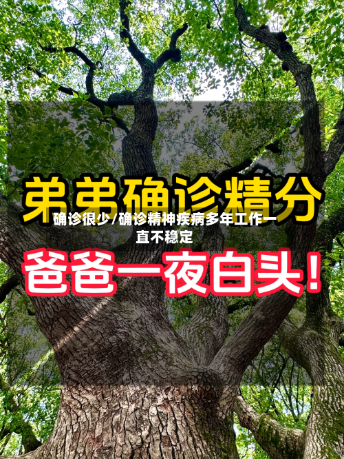 确诊很少/确诊精神疾病多年工作一直不稳定
