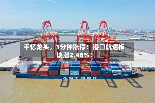 千亿龙头,1分钟涨停!港口航运板块涨2.48%!