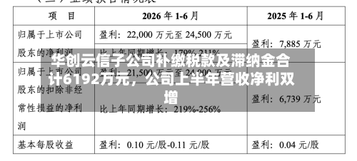 华创云信子公司补缴税款及滞纳金合计6192万元，公司上半年营收净利双增-第2张图片