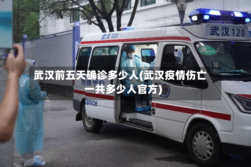 武汉前五天确诊多少人(武汉疫情伤亡一共多少人官方)-第3张图片