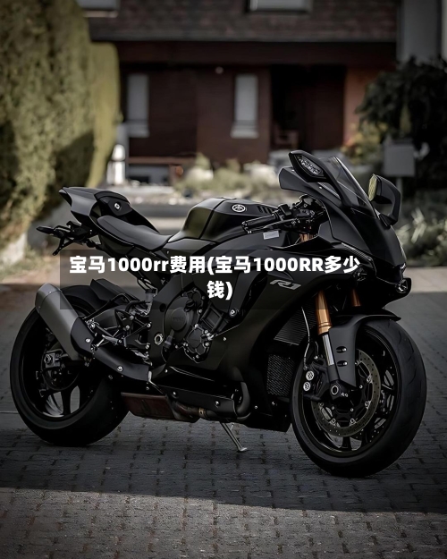 宝马1000rr费用(宝马1000RR多少钱)-第2张图片