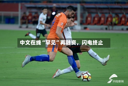 中文在线“罕见	”再融资	，闪电终止-第3张图片
