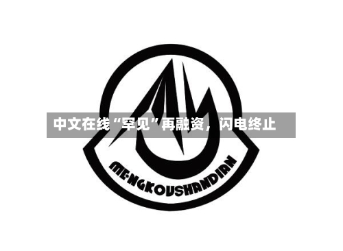 中文在线“罕见”再融资,闪电终止