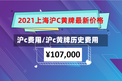 沪c费用/沪c黄牌历史费用