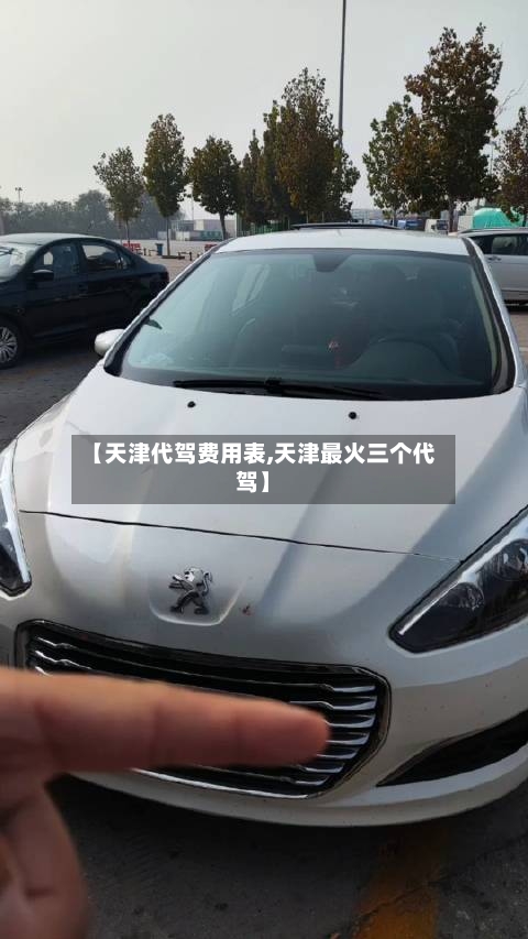 【天津代驾费用表,天津最火三个代驾】
