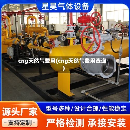 cng天然气费用(cng天然气费用查询)-第2张图片
