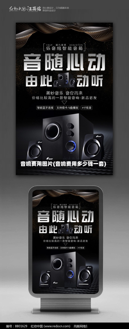 音响费用图片(音响费用多少钱一套)
