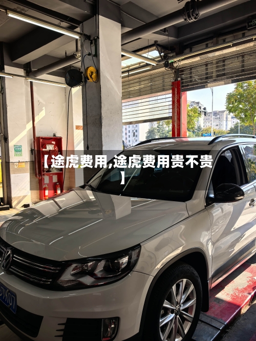 【途虎费用,途虎费用贵不贵】-第3张图片