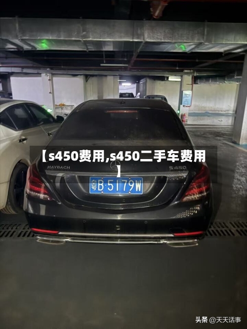 【s450费用,s450二手车费用】