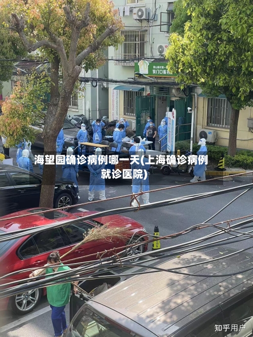 海望园确诊病例哪一天(上海确诊病例就诊医院)-第2张图片