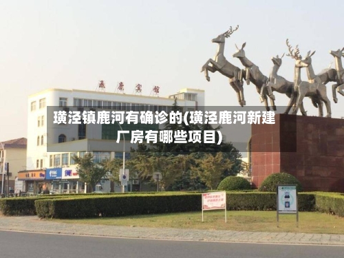 璜泾镇鹿河有确诊的(璜泾鹿河新建厂房有哪些项目)