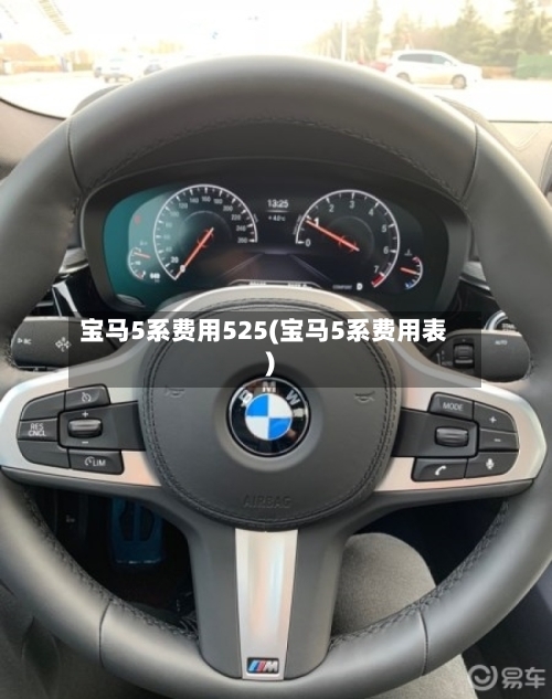 宝马5系费用525(宝马5系费用表)-第3张图片