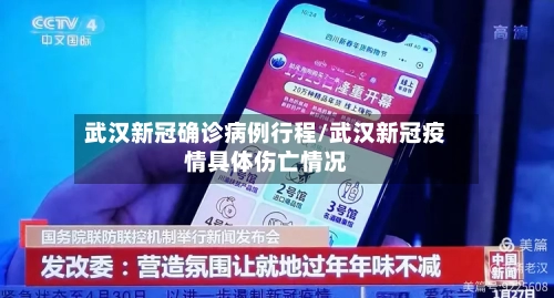 武汉新冠确诊病例行程/武汉新冠疫情具体伤亡情况-第3张图片
