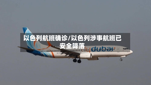 以色列航班确诊/以色列涉事航班已安全降落