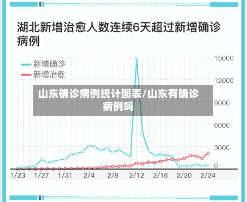 山东确诊病例统计图表/山东有确诊病例吗-第3张图片